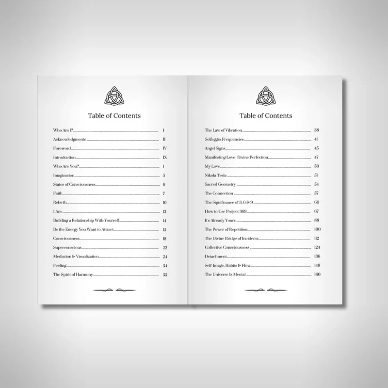 369 Journal - The Key to the Universe - Image 7
